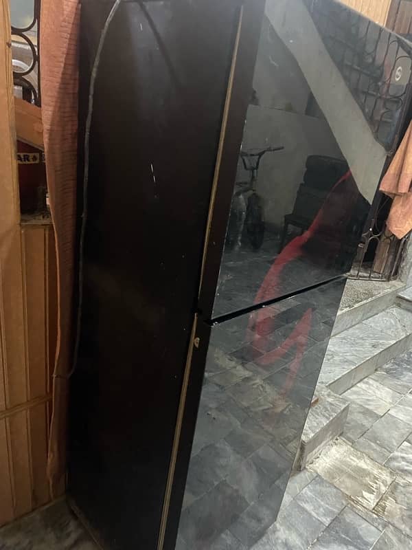 Pel Medium Size Glass Door Fridge 3