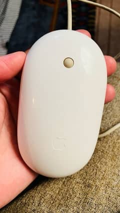 Apple Original mouse available