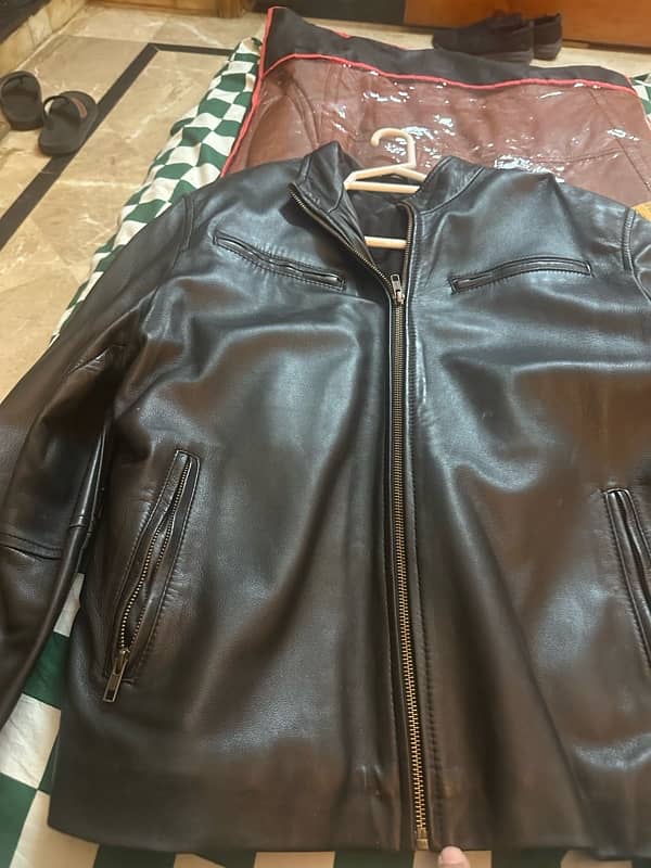 leather jacket 1