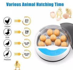 12 eggs incubator 9 hens and 4 parrot eggs capacity