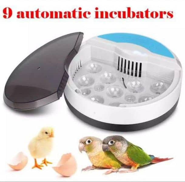 12 eggs incubator 9 hens and 4 parrot eggs capacity 2