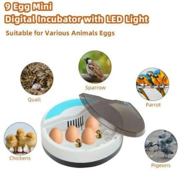 12 eggs incubator 9 hens and 4 parrot eggs capacity 7