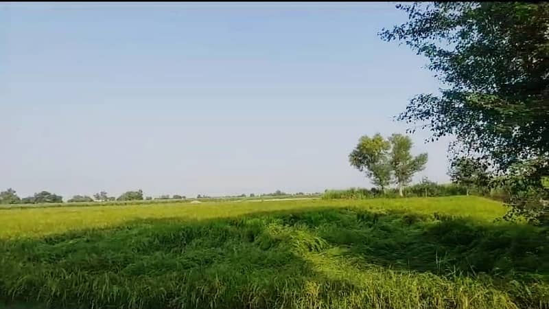 34 Acre Agriculture Land For Sale At Ryk 0