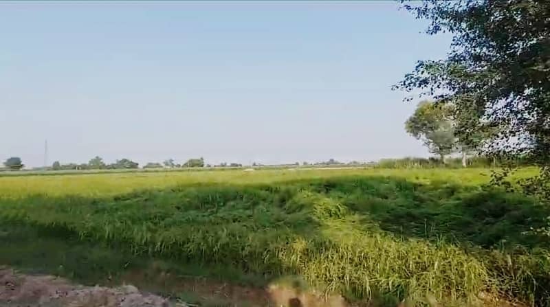 34 Acre Agriculture Land For Sale At Ryk 4