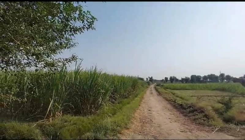 34 Acre Agriculture Land For Sale At Ryk 5