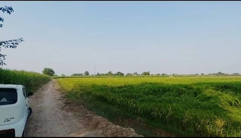 34 Acre Agriculture Land For Sale At Ryk 6