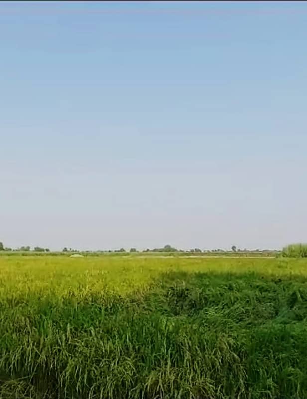 34 Acre Agriculture Land For Sale At Ryk 10