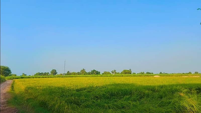 34 Acre Agriculture Land For Sale At Ryk 13