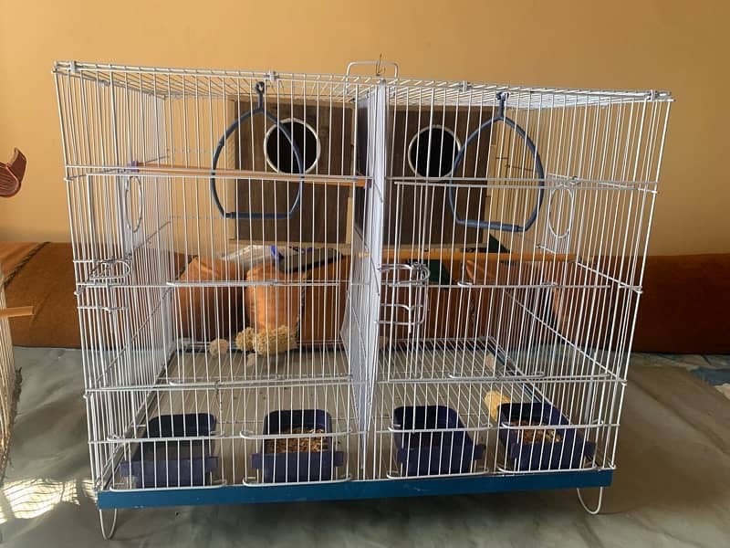 LOVE BIRDS AND FISHER PAIR WITH CAGE FULL SETUP 4