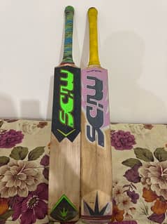 hard ball cricket two bats