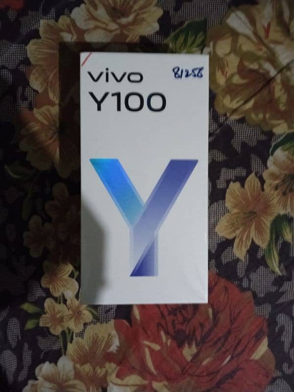 vivo y100.8/256 0