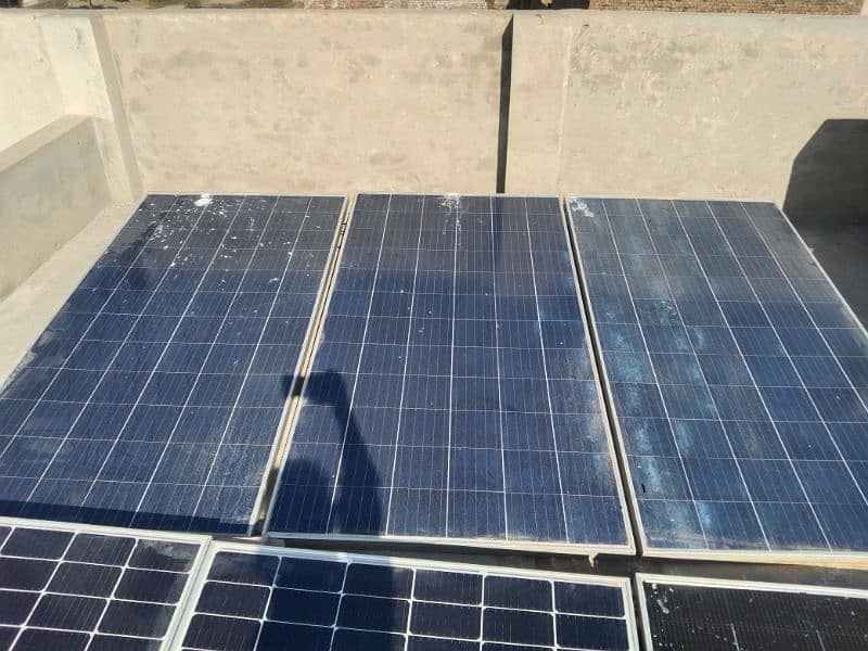 solar pannel 330 watt for sale (5) 3