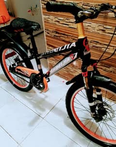 bicycle impoted 20 inch fat tyers without gears call no 03149505437