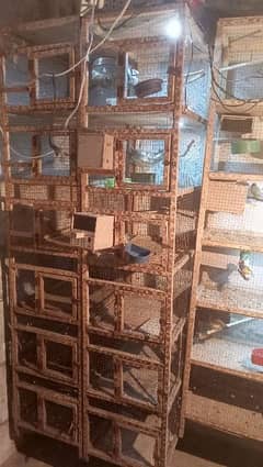 all cage for sale