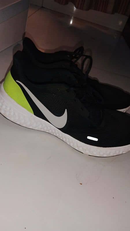 Nike Shoes 1