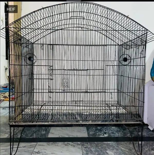 Cage Bird 0