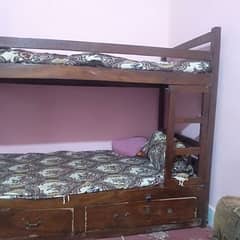 bunk bed