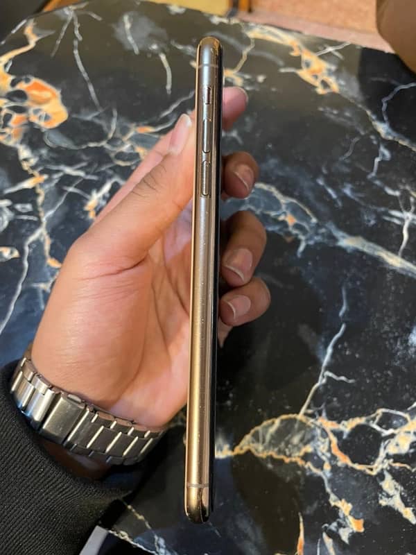 Iphone 11 pro max PTA approved (256)GB 2