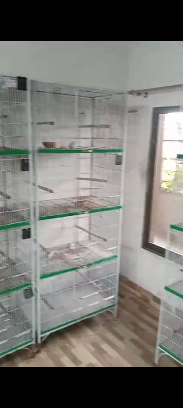 Birds cage parrot cage 0