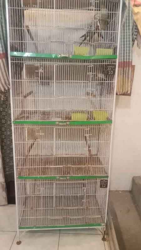 Birds cage parrot cage 2