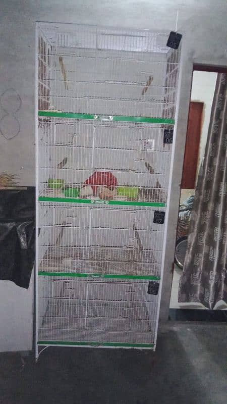 Birds cage parrot cage 4