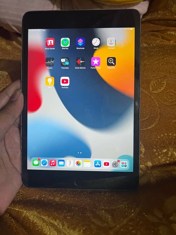 iPad mini 4 2