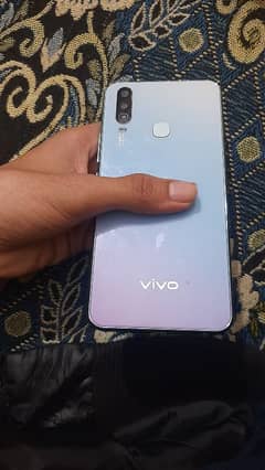 vivo