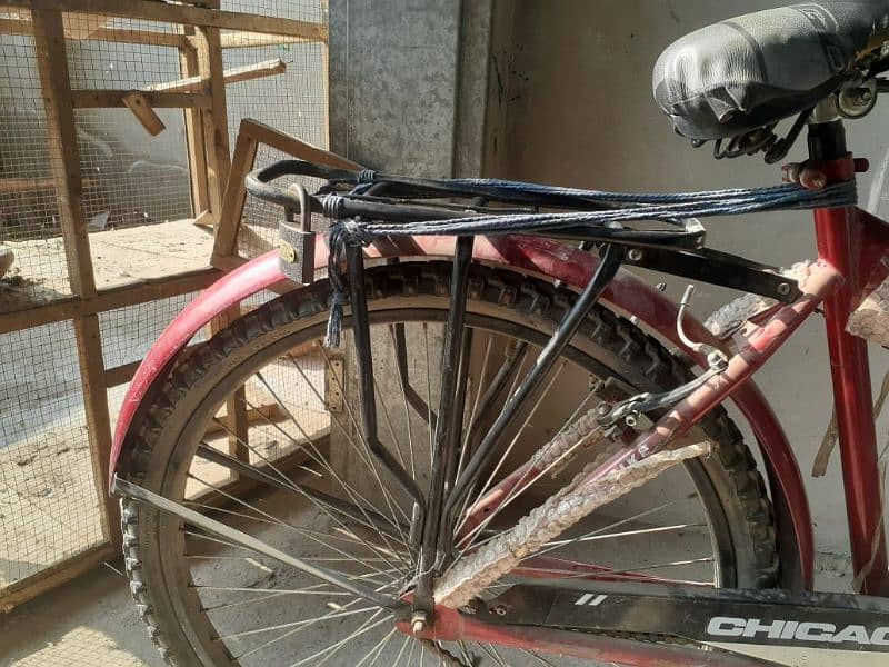 Cycle For Sale 3