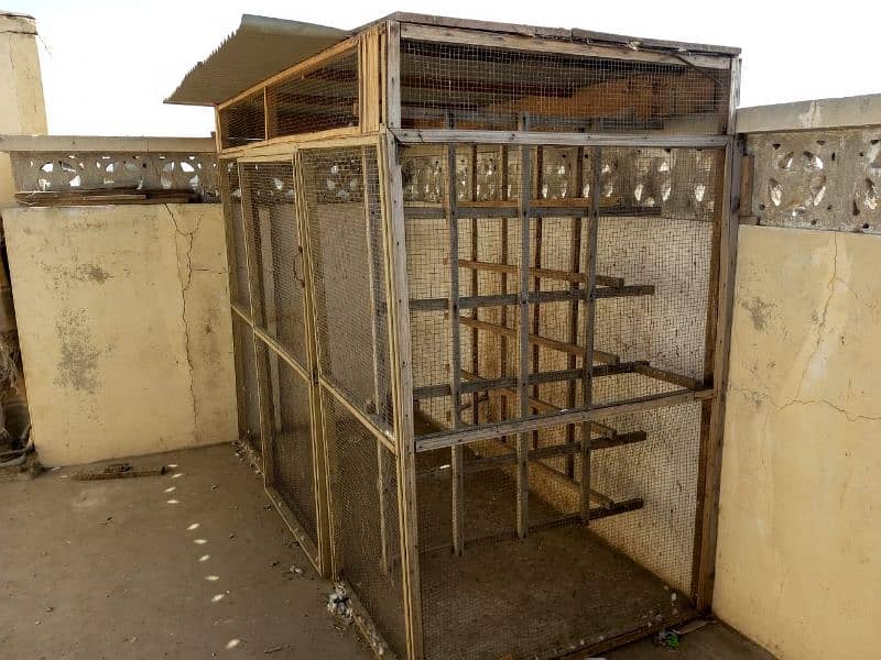 Pigeon Cage 4