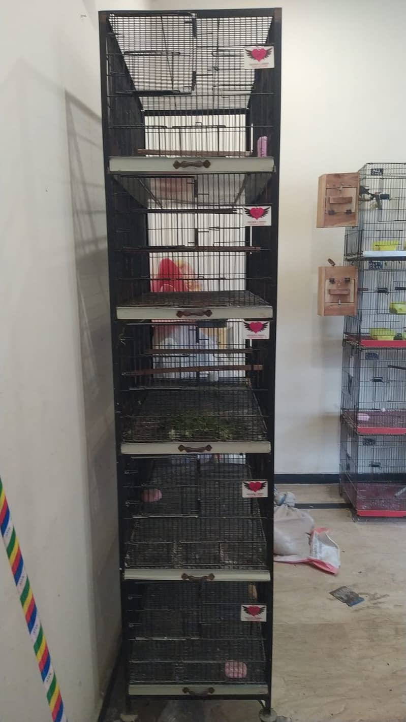 BIRDS CAGE / Iron Cages Available For Sale 1