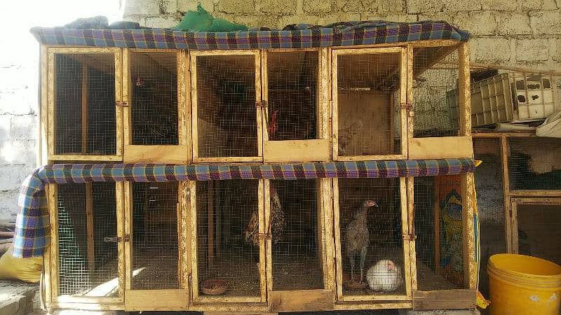 6 portion wooden cage | birds cage | Aseel rooster cage | 0