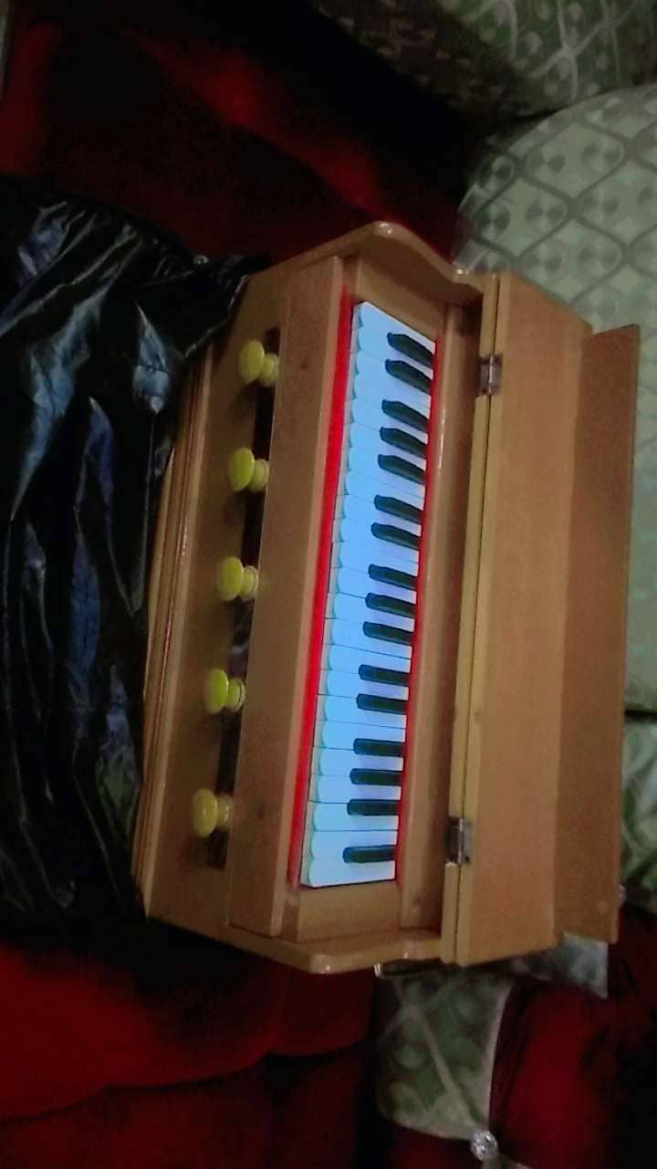 Harmonium( NS anand indian reeds) 1