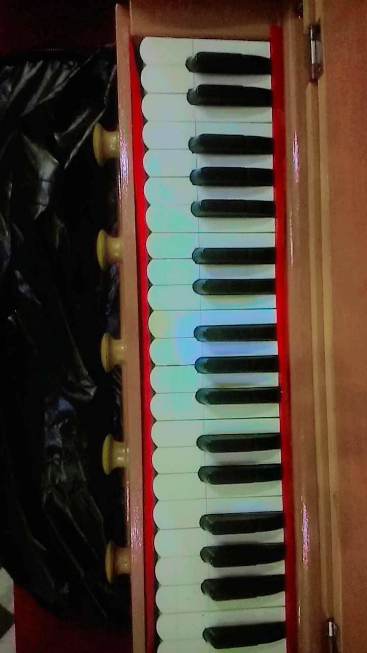 Harmonium( NS anand indian reeds) 2