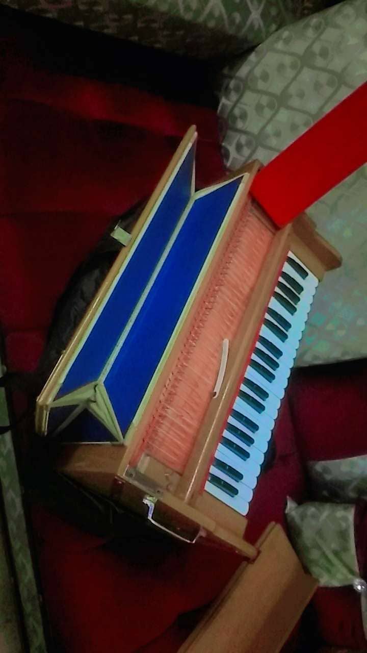 Harmonium( NS anand indian reeds) 3