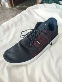 Allbirds + Air Jordans Sneaker Shoes