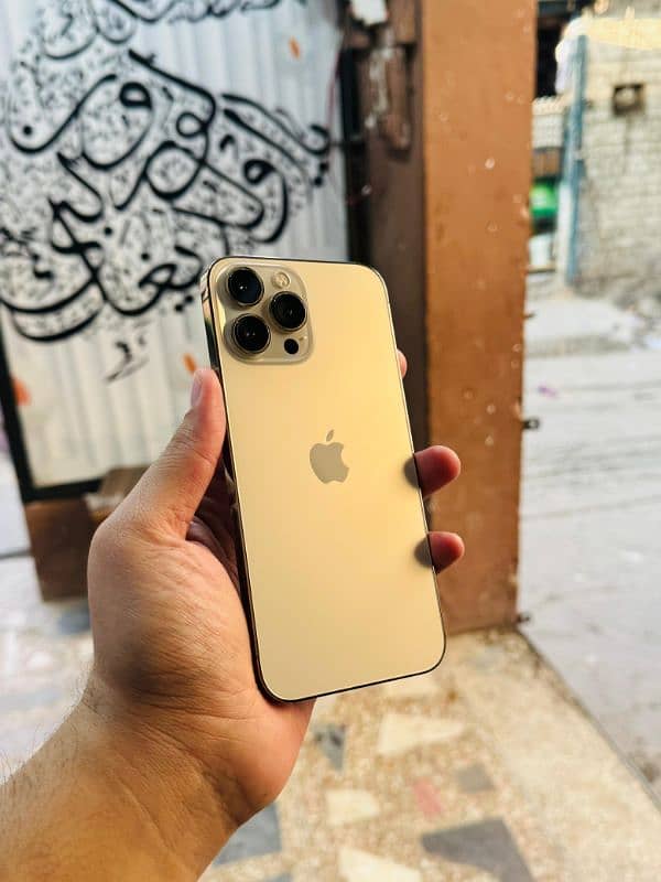 iphone 13 Pro Max Shesha Condition Waterpack 0