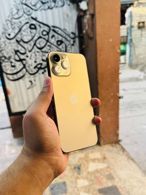 iphone 13 Pro Max Shesha Condition Waterpack 5