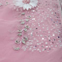 Organza dupatta