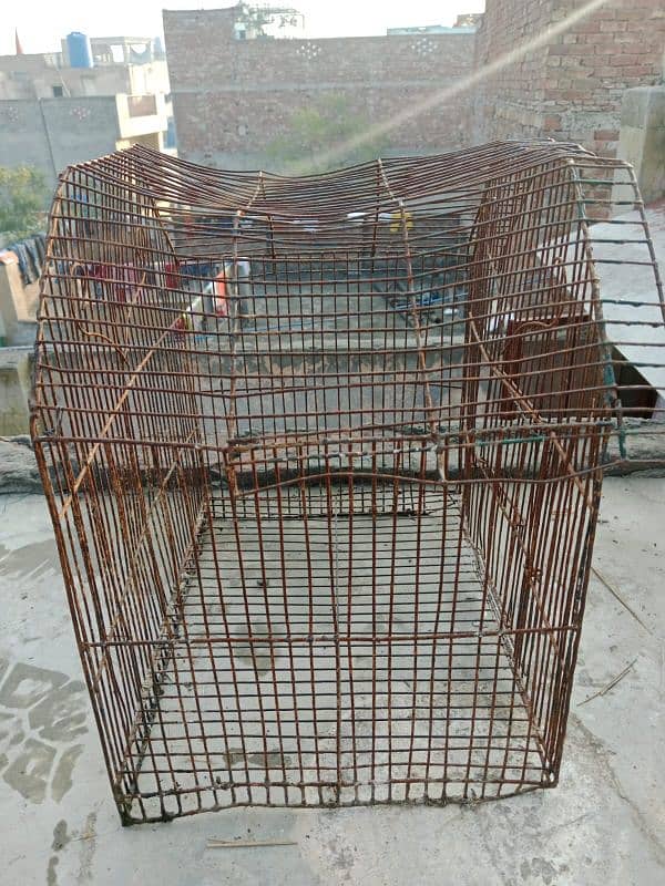 cage for birds 2