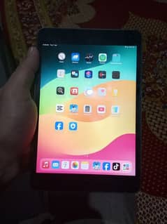 ipad mini 5