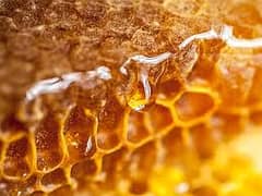 Premium and Pure Honey for sale