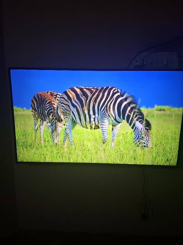 Samsung led du7000 43 inch with 11 month warrenty 2