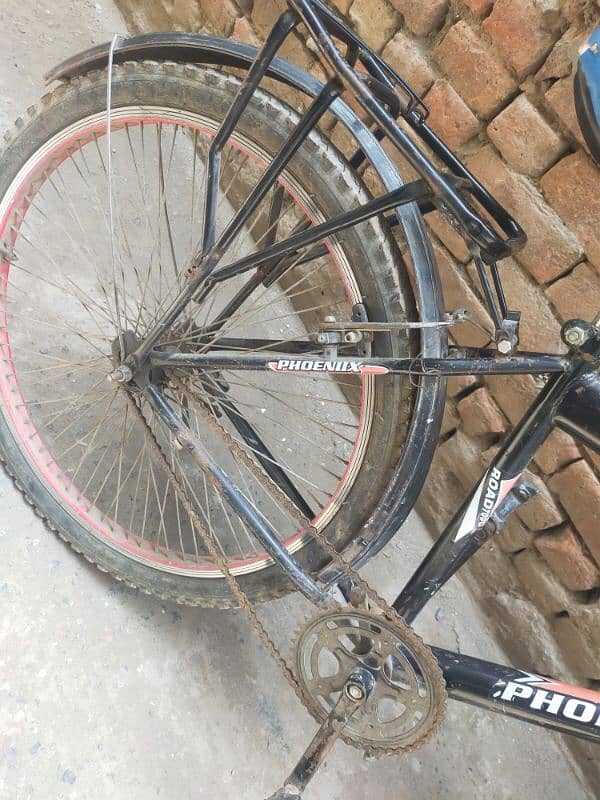 Bicycle For Sale 1