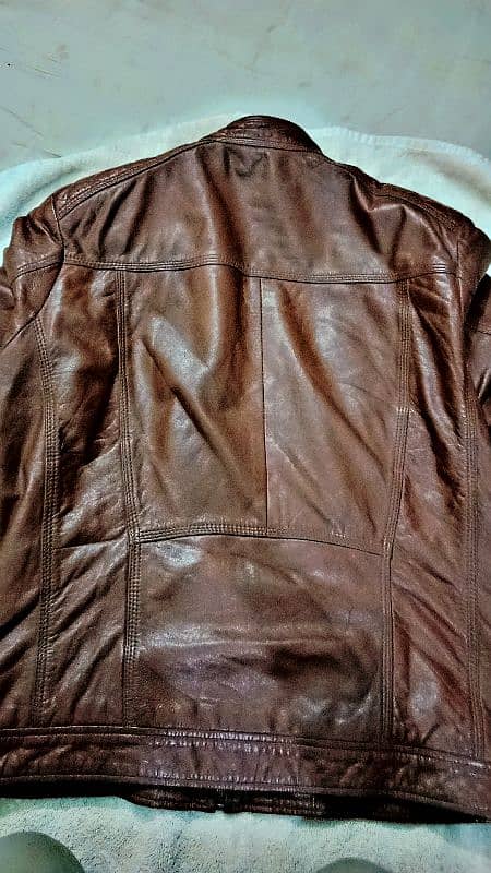 Leather jacket (Original) 0