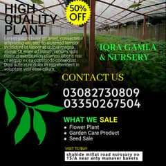 plant nursery / indoor plants / outdoor plants / plant store / plant p