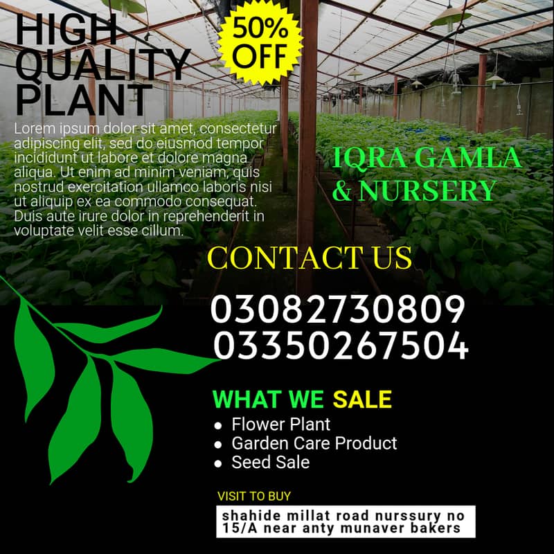 plant nursery / indoor plants / outdoor plants / plant store / plant p 0