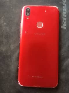 vivo