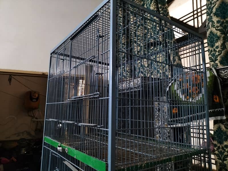 bird  cage 4