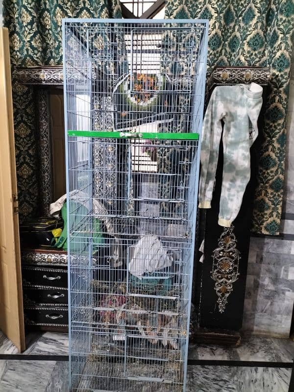 bird  cage 5