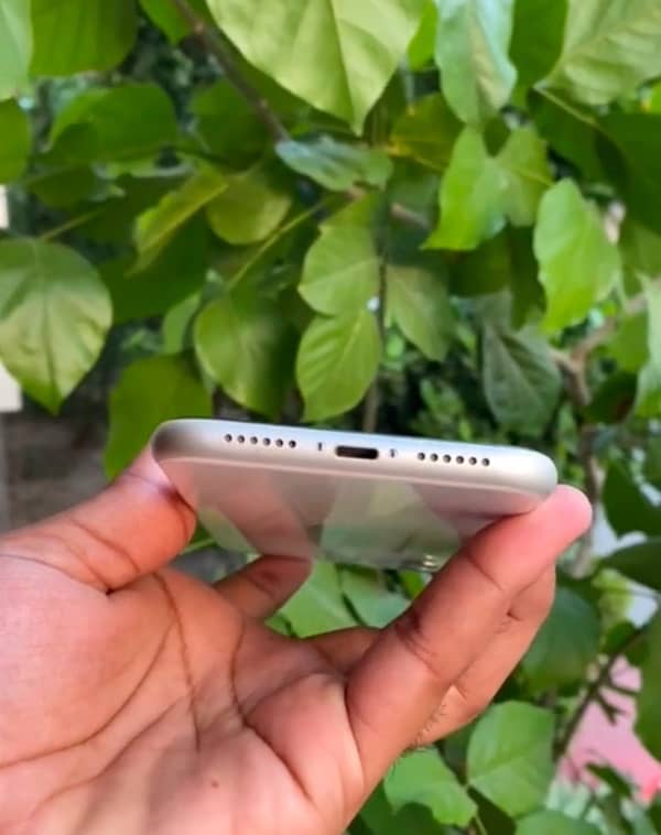 iphone 11 jv 64  battery 98  water pak 2months sim chaly gi 1